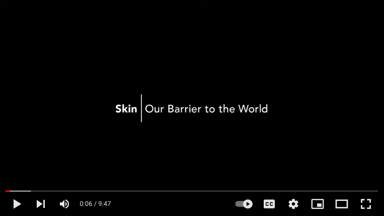 Skin: Our Barrier To The World Image